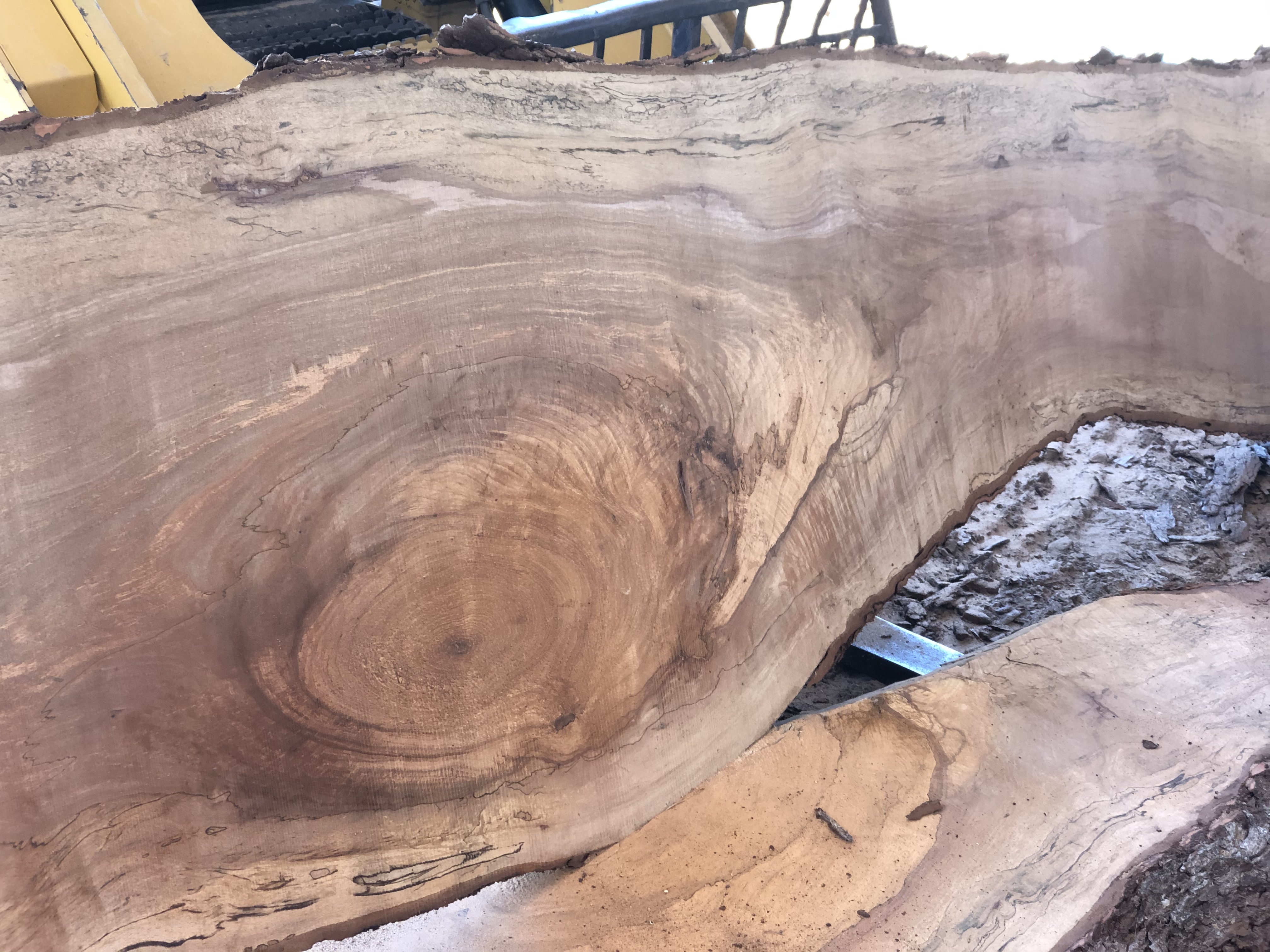 Pecan Slabs coming off the sawmill!
